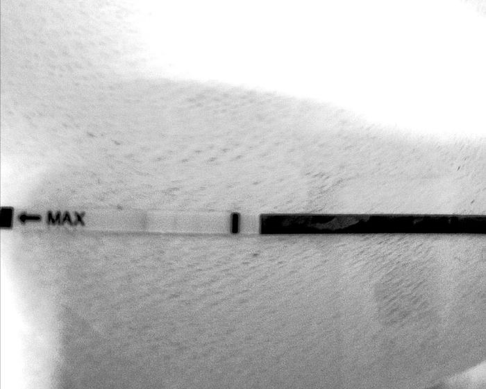 Chi non le aspetta per novembre 2019 - 1