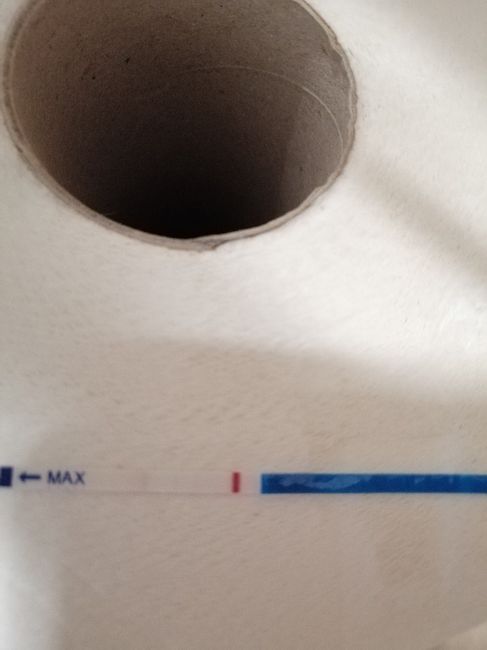 Chi non le aspetta per novembre 2019 - 2