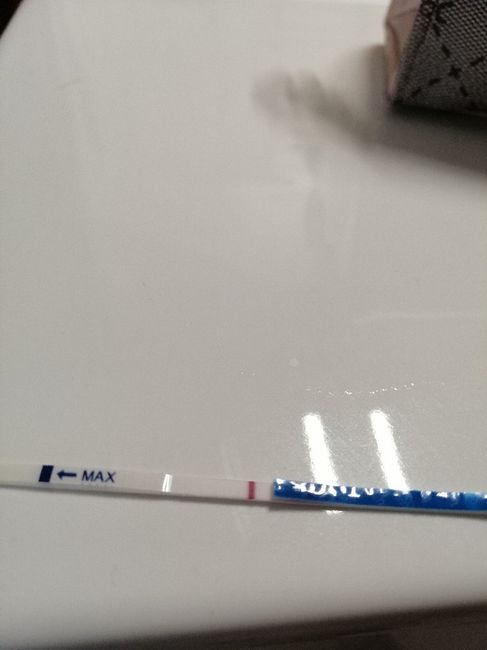 Chi non le aspetta per novembre 2019 - 3