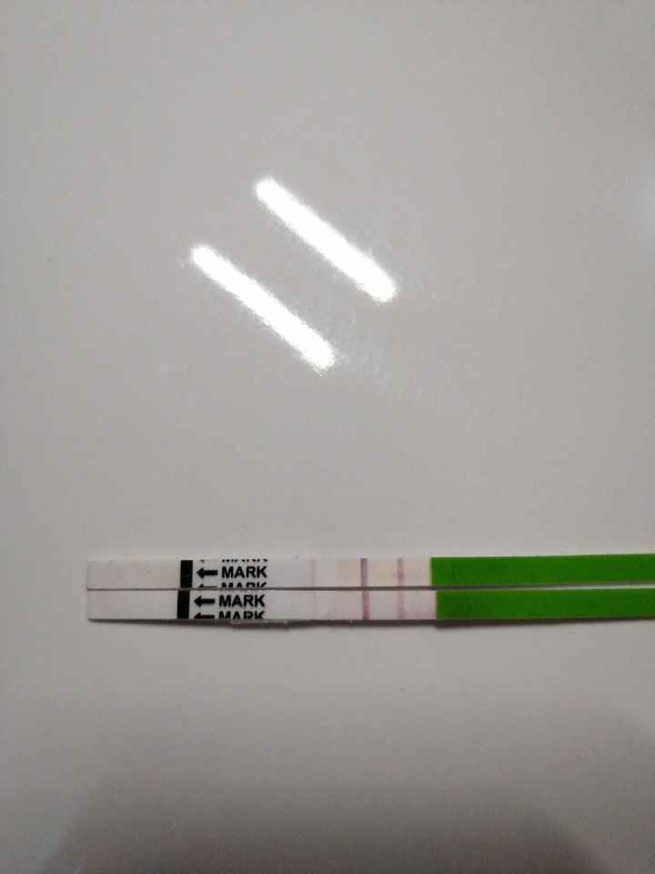 Chi non le aspetta per settembre 🍀🤞 - 1