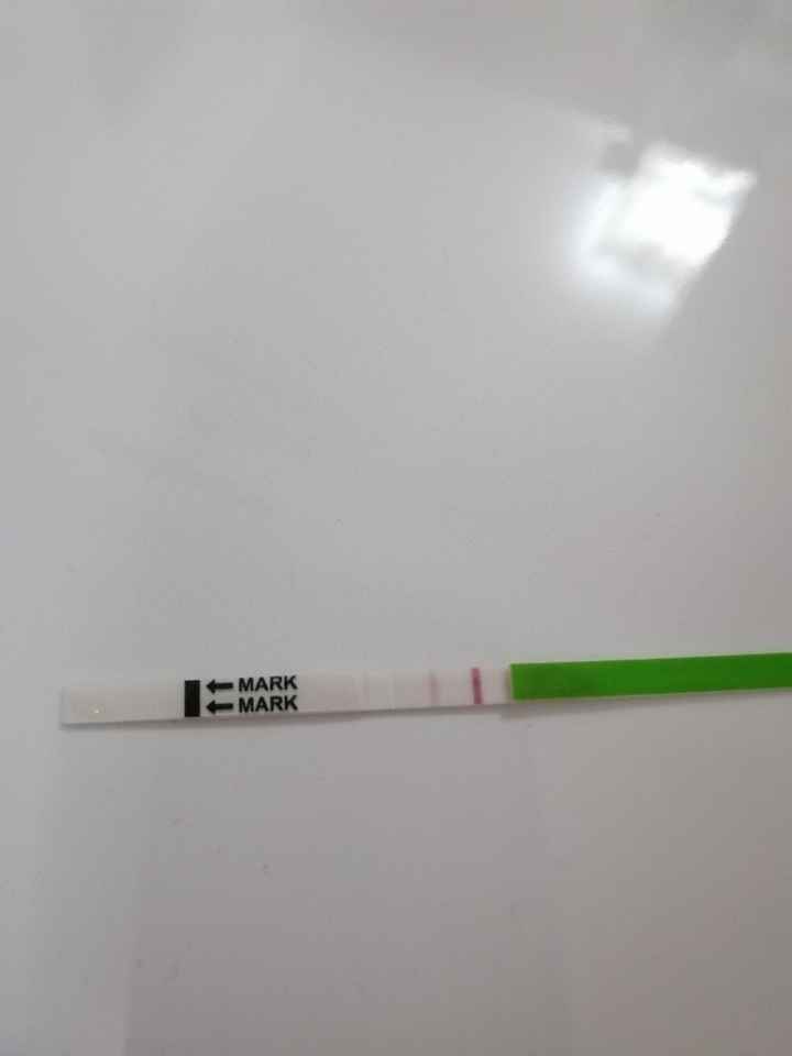 Chi non le aspetta per ottobre 2019 - 1