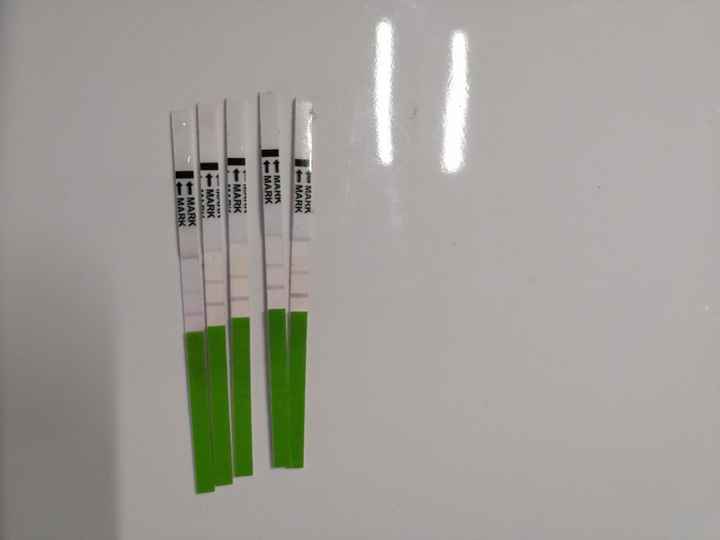 Test di ovulazione o no? - 1