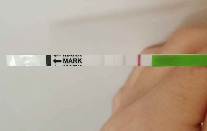 Chi non le aspetta per novembre 2019 - 1