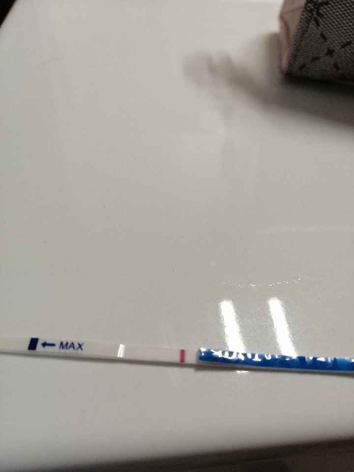 Chi non le aspetta per novembre 2019 - 3