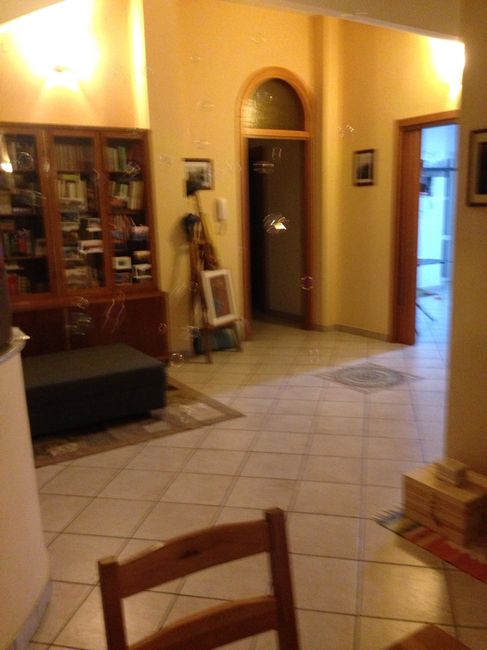 Incursione da martha's cottage - 2