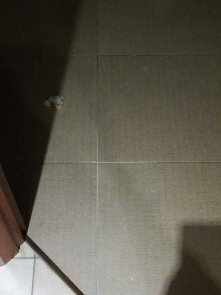  Conoscete il detergente madras lavafughe? - 1