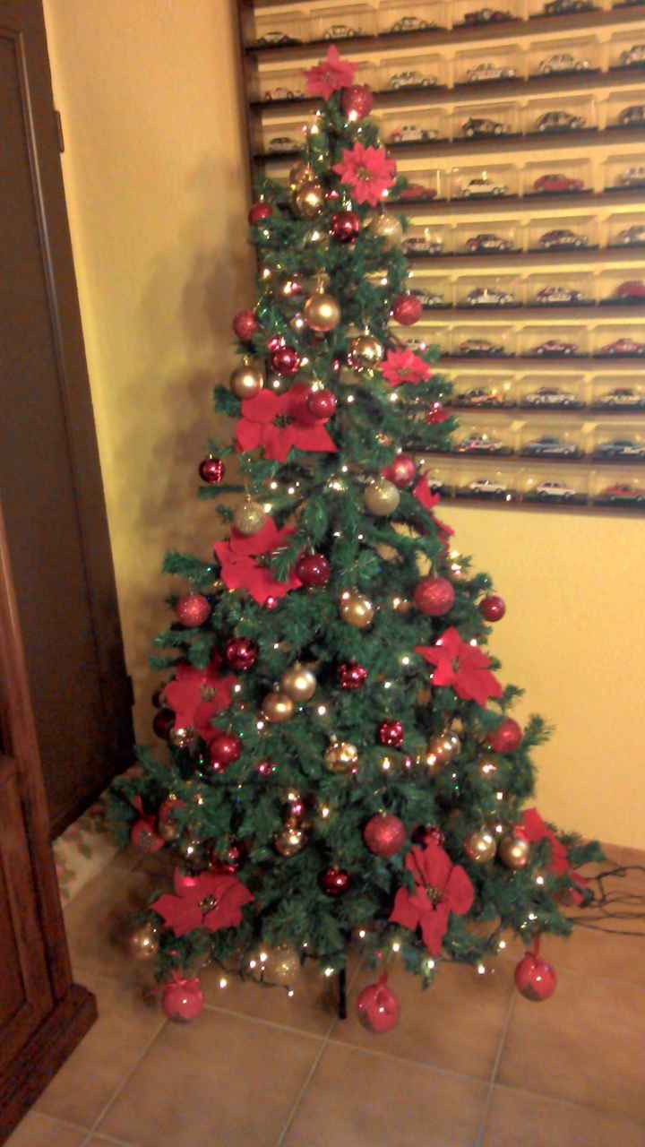 albero