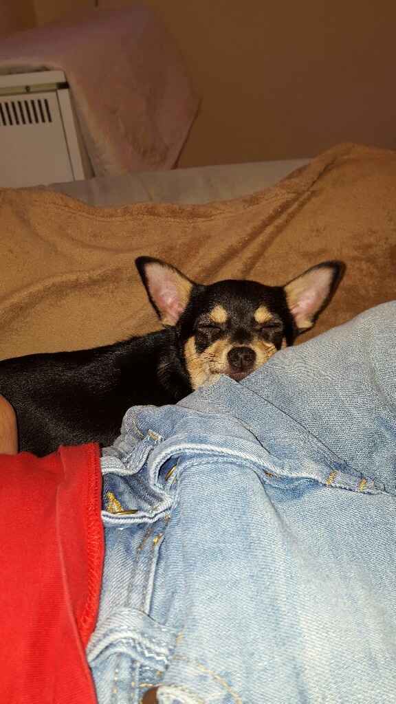 La nuova arrivata ?? - 1