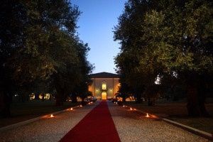 Il viale - Casale Foti