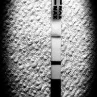 Chi non le aspetta per Aprile 2020 - 1