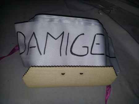 Fascia Miss Damigella D'onore