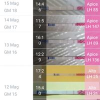 Test Ovulazione - Help - 1