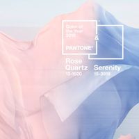 Colore del matrimonio! - 1