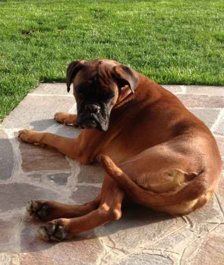 Oggi vi presento i nostri "mimmi" :) - 1