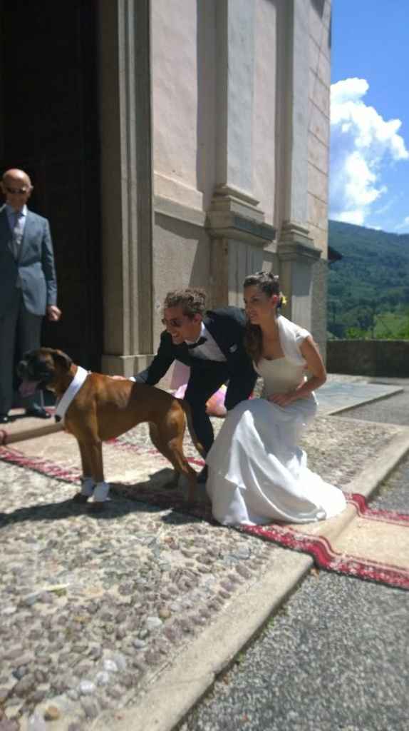 Cuccioli al matrimonio: vestiti a tema sì o no?  - 1