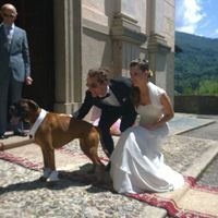 Cuccioli al matrimonio: vestiti a tema sì o no?  - 1