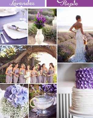 lavanda