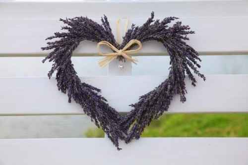 lavanda