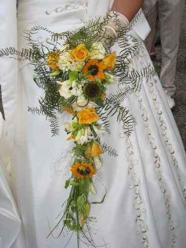 girasoli