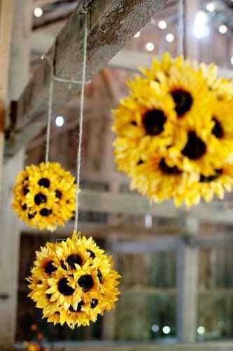 girasoli