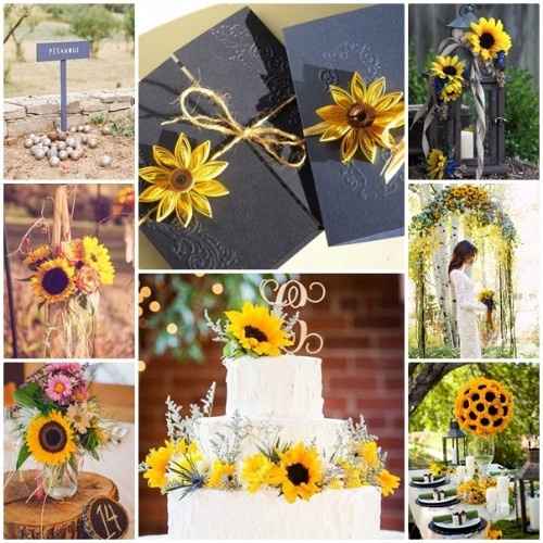 girasoli