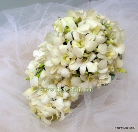 bouquet