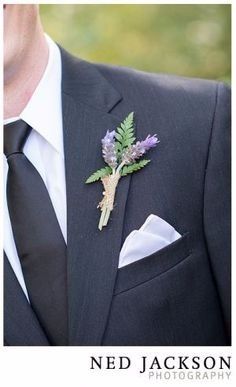 lavanda