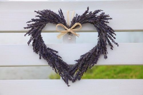 lavanda