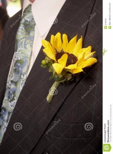 girasoli