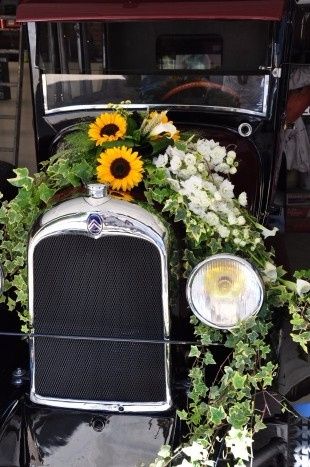 girasoli