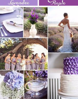 lavanda