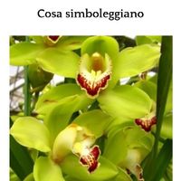 Quale sarà il colore del tuo bouquet? 💐 - 1