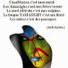 Amazigh