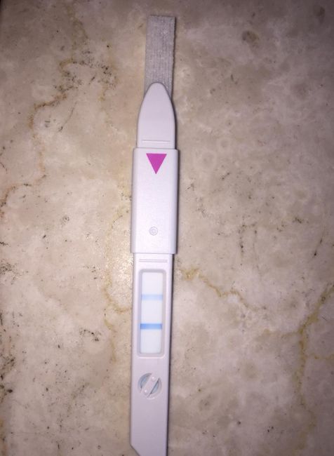 Test ovulazione come test precoce gravidanza.. - 1