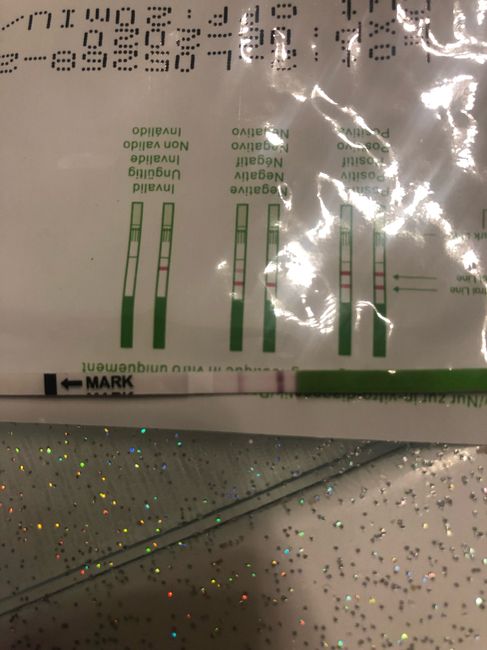 Aggiornamento test ovulazione.2 4