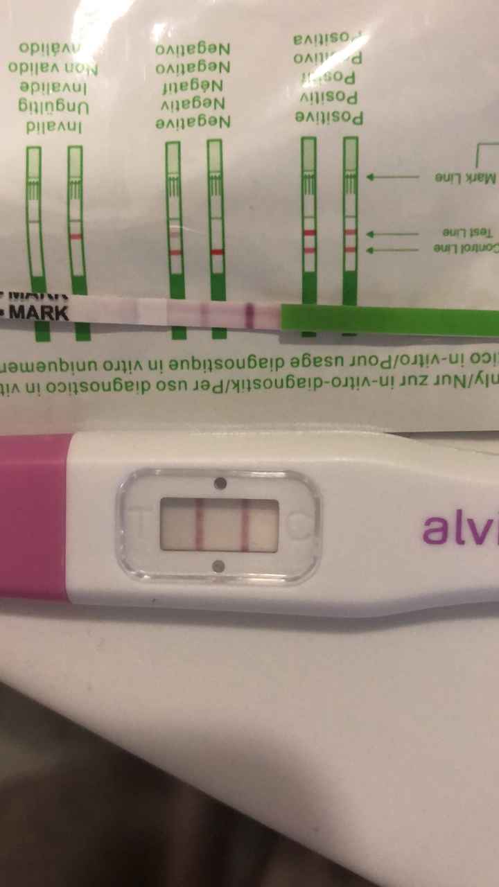 Aggiornamento test ovulazione.2 - 1