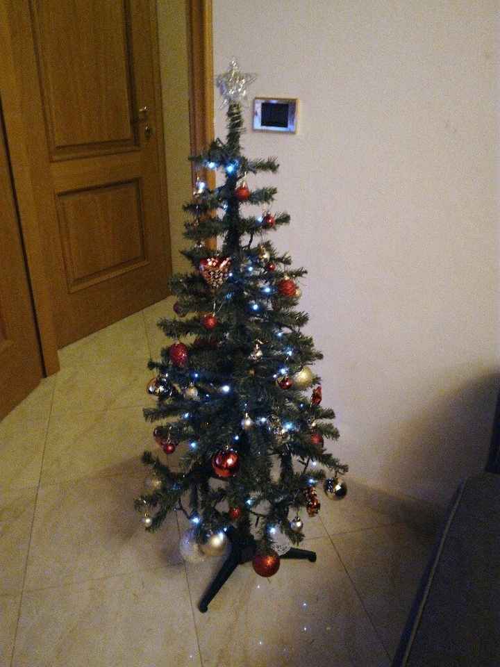Il nostro alberoooo ? - 1