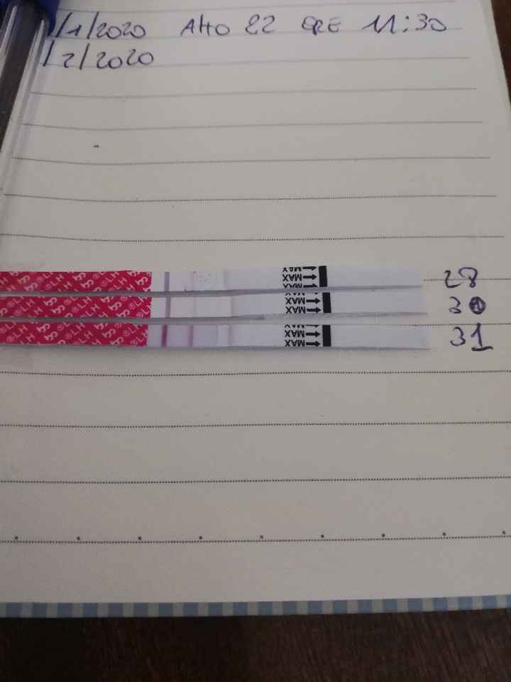 Per chi non le aspetta per febbraio 2020 - 1