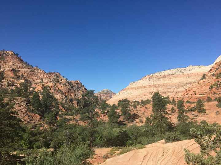 Zion National Park