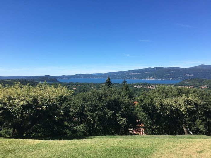 Location zona  varese ..cosa avete scelto? - 1