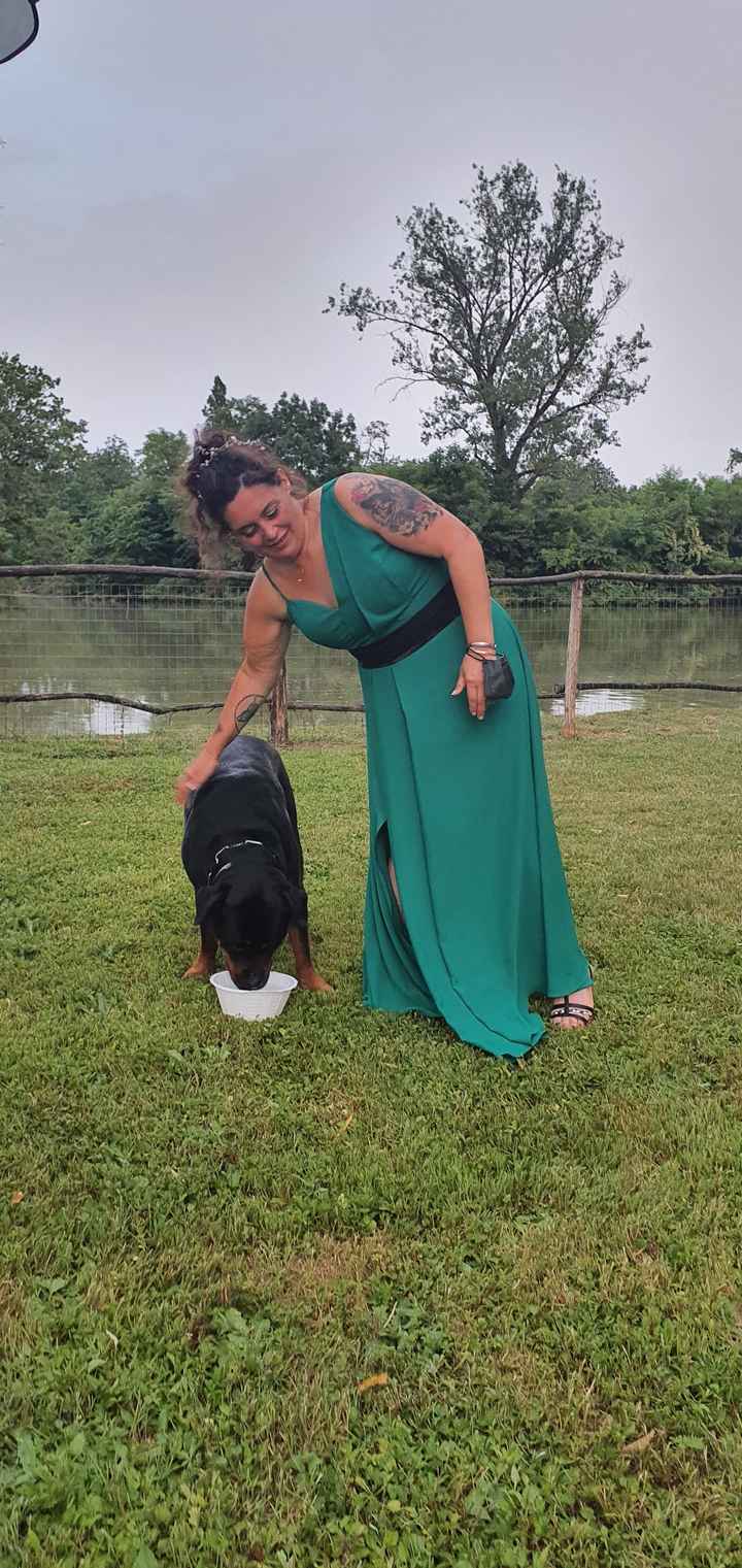 Finalmente anche il ricevimento - 9