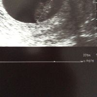 Due domandine 😜 - 1