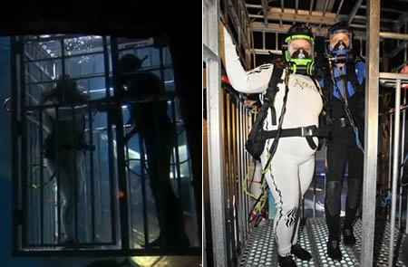 Sposarsi tra gli squali