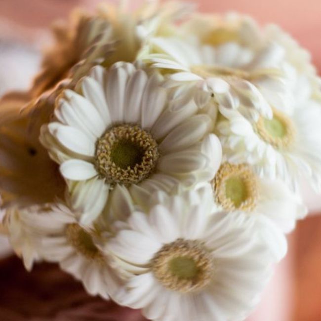 i fiori della sposa e il bianco 2