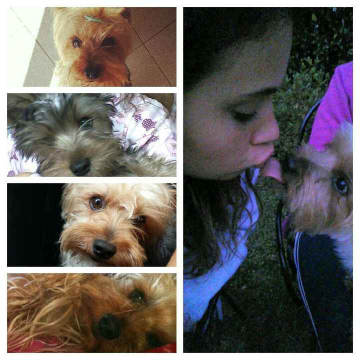 Il nostro piccolino - 2