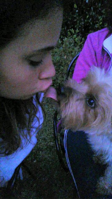 Se non ci fossero loro... - 1