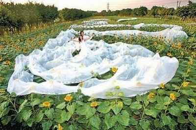 abito-da-sposa-con-velo-lunghissimo