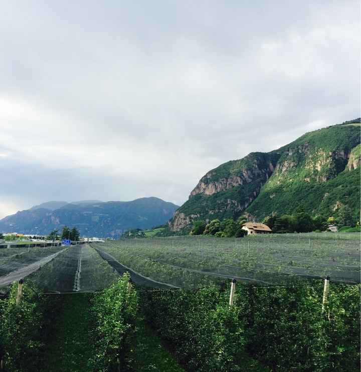 Quel giorno aprendo gli occhi... - 1