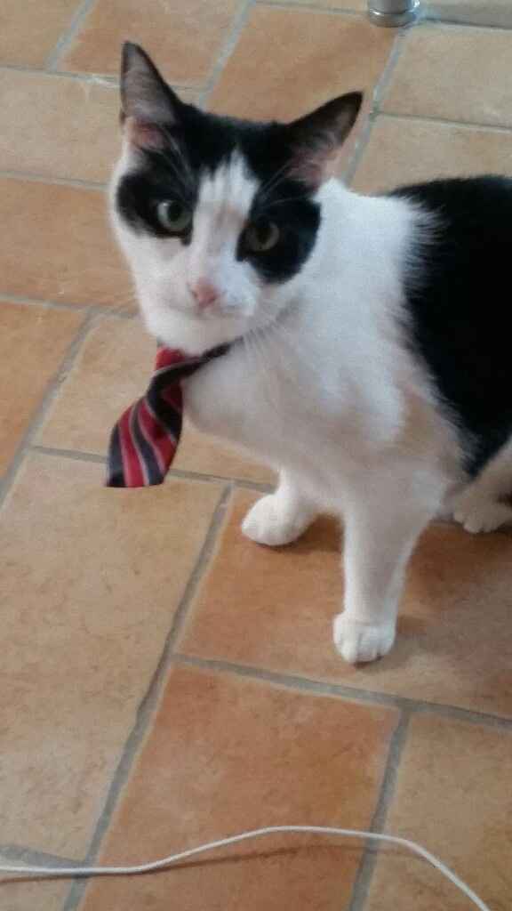  Felice a metà (lungo) - 1