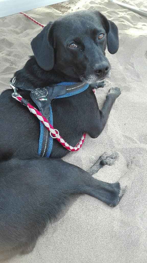 Vacanza e compleanno! - 2